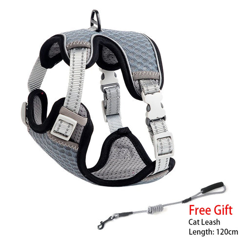 Chest Harness with Lead – Grey