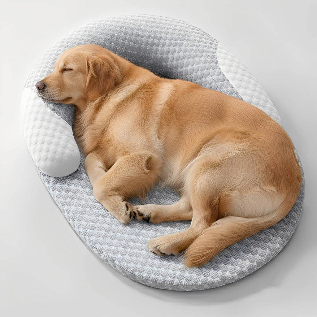 Hundebett mit Nackenkissen – Bild 2