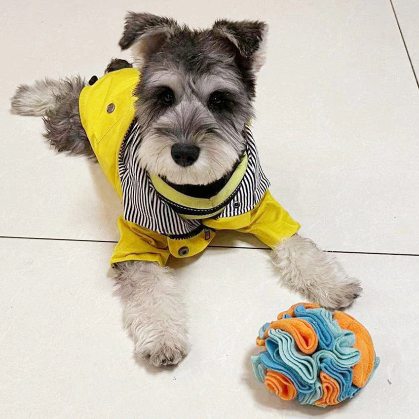 Schnüffelball – Bild 2