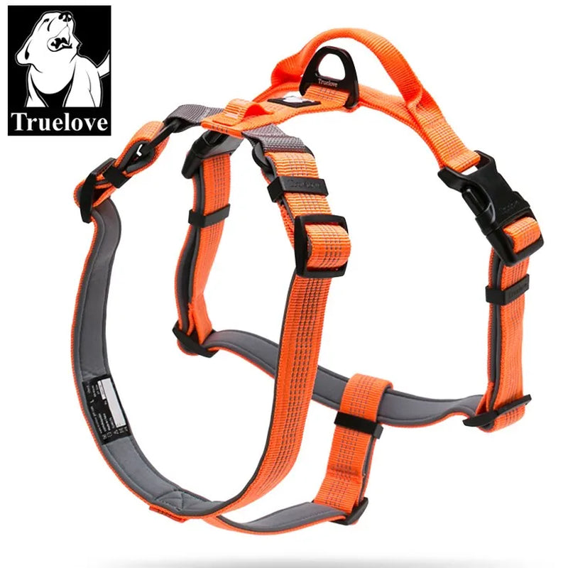 LED-Leuchtgeschirr – Orange
