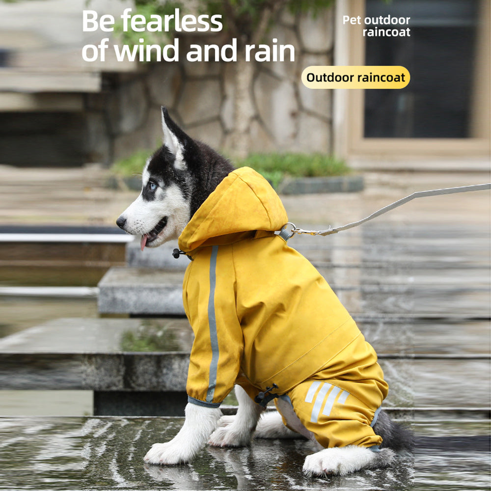 Raincoat for Small Dogs – image 2