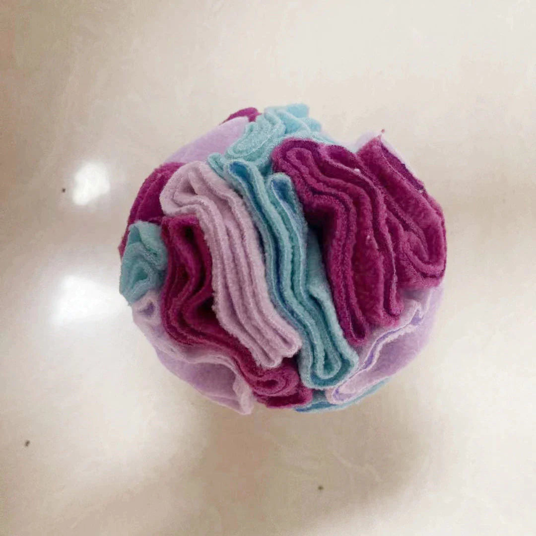 Schnüffelball – Bild 8