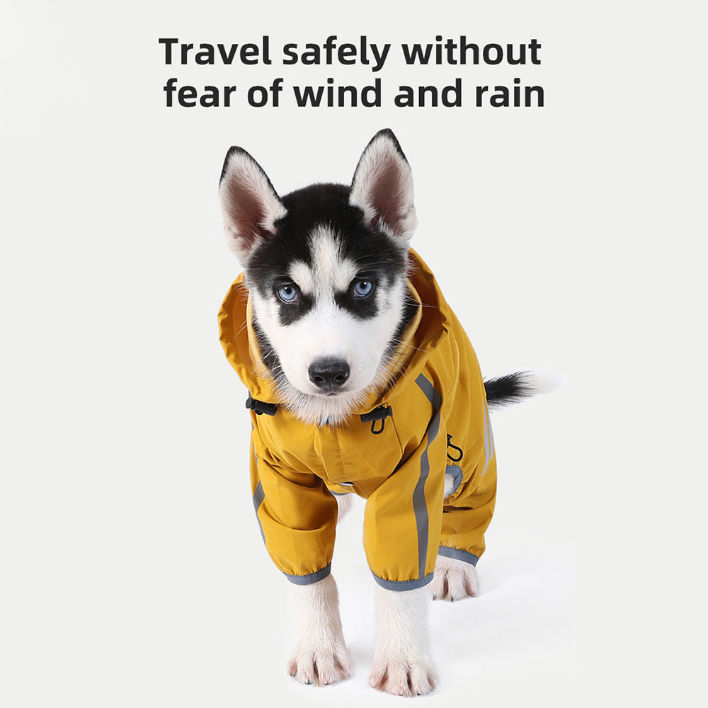 Raincoat for Small Dogs – image 4