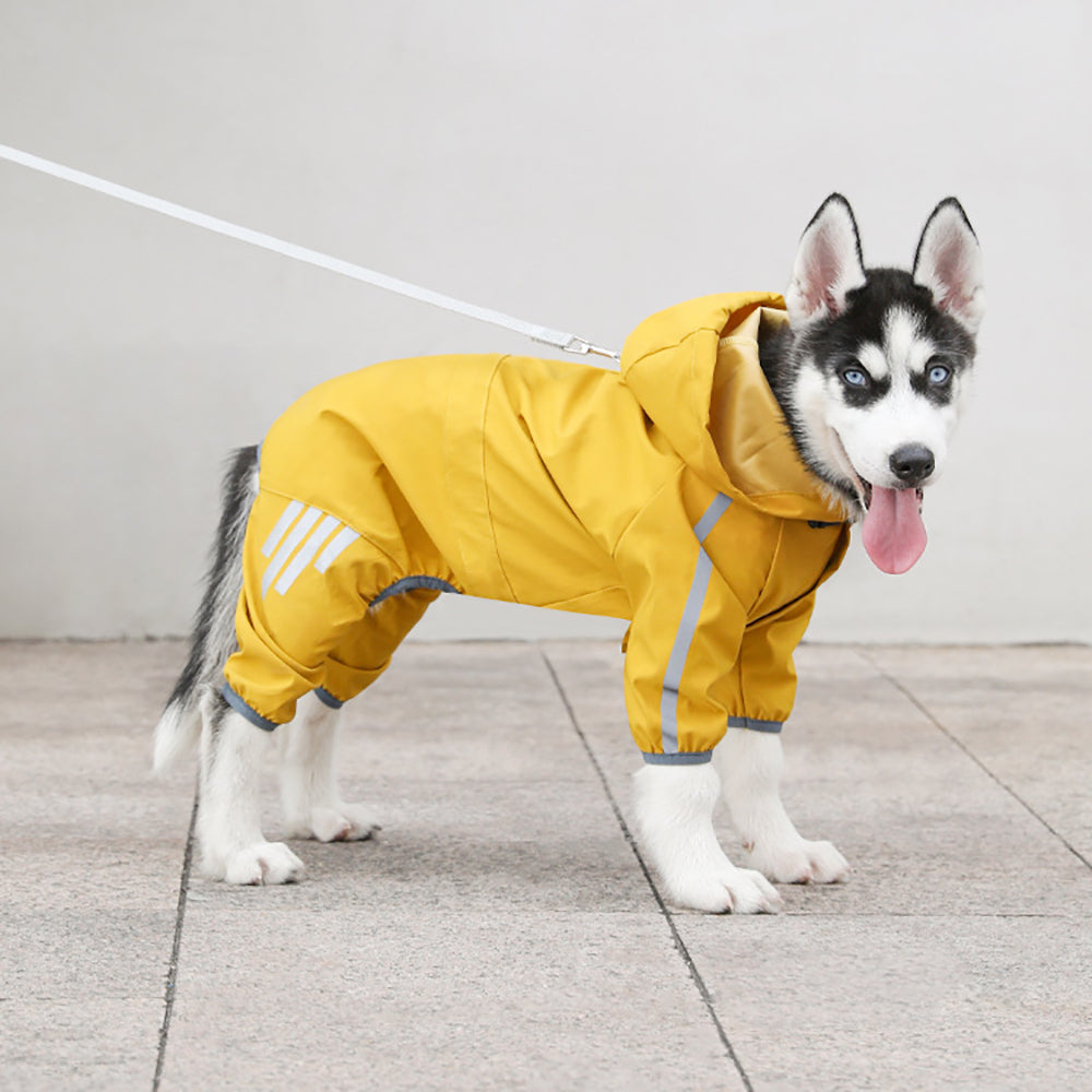 Raincoat for Small Dogs – image 13
