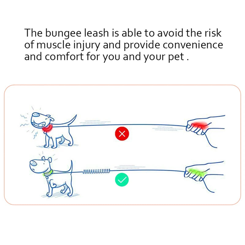 Bungee-Kurzführleine – Bild 9