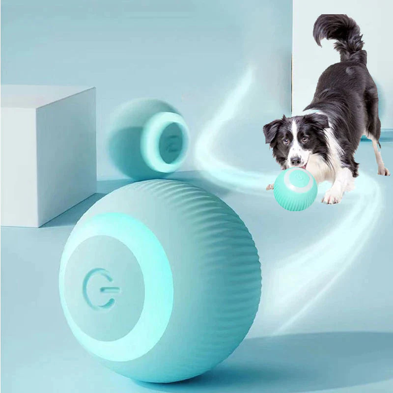 Selbstrollender Spielball – Bild 1