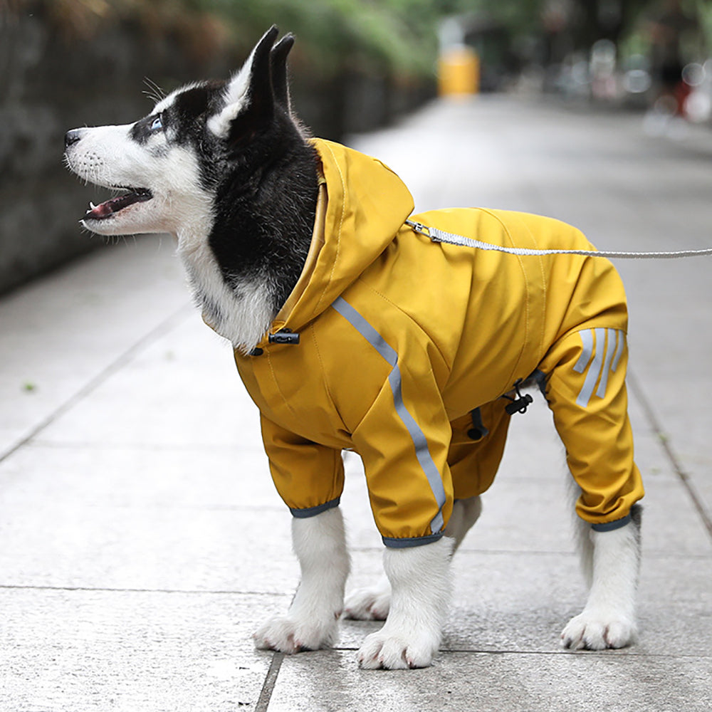Raincoat for Small Dogs – image 1