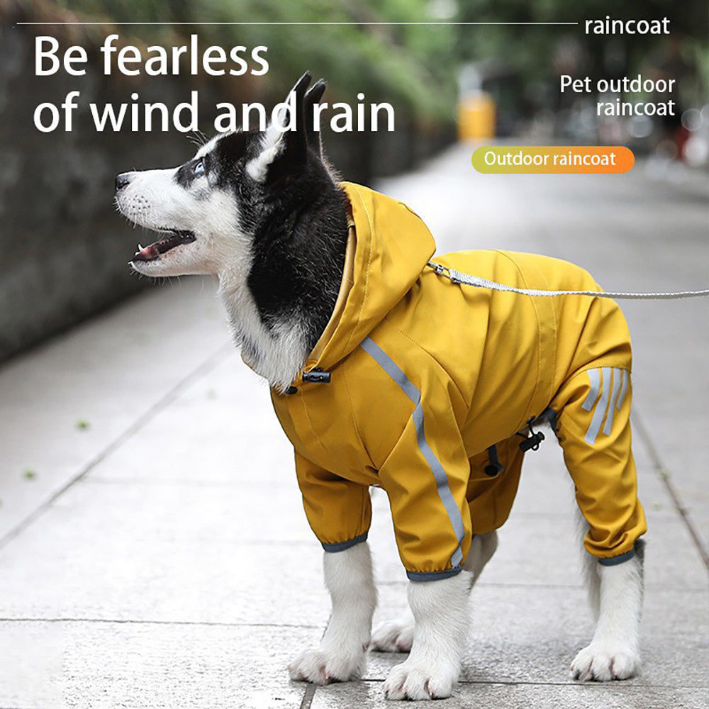 Raincoat for Small Dogs – image 3