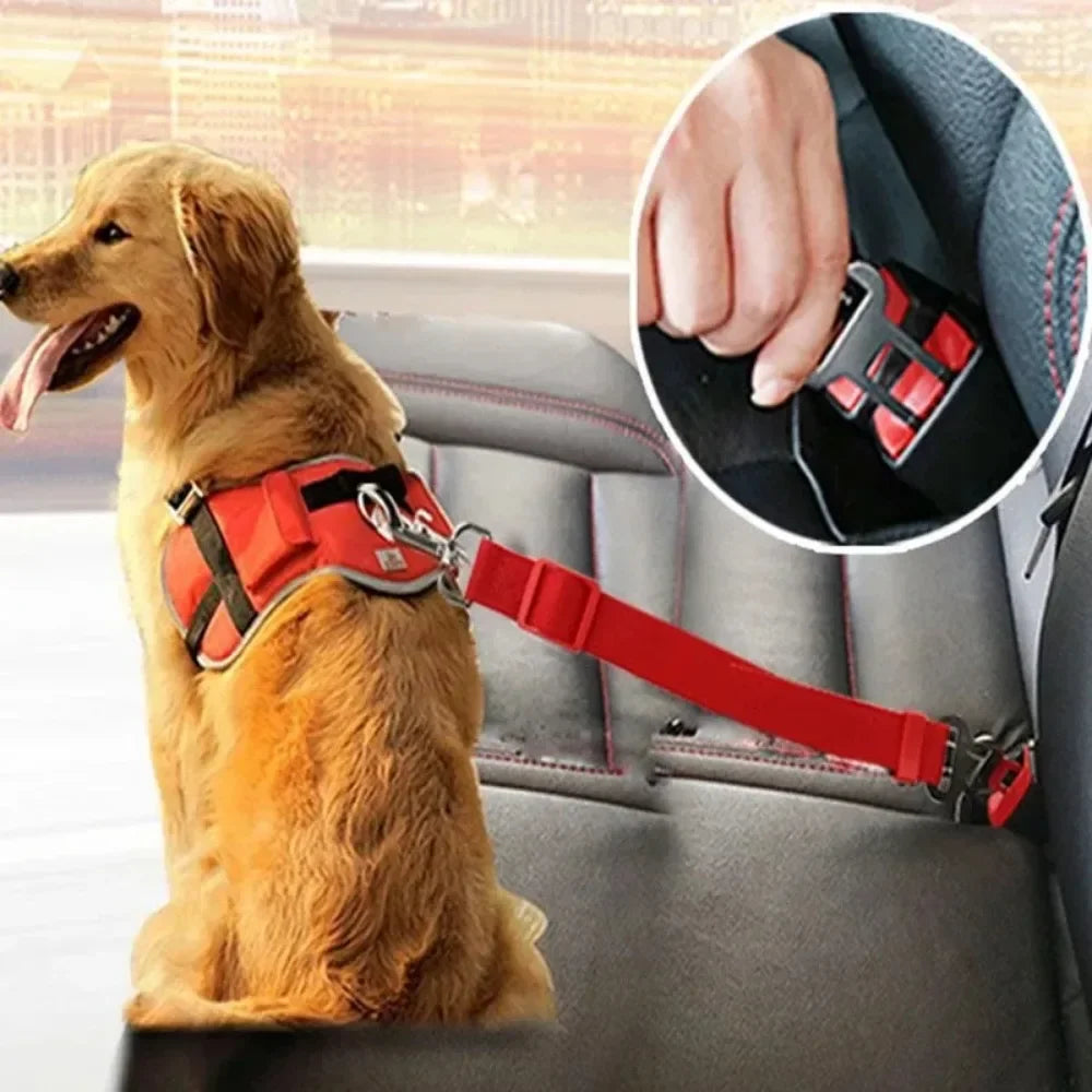 Auto-Sicherheitsgurt für Hunde – Bild 3