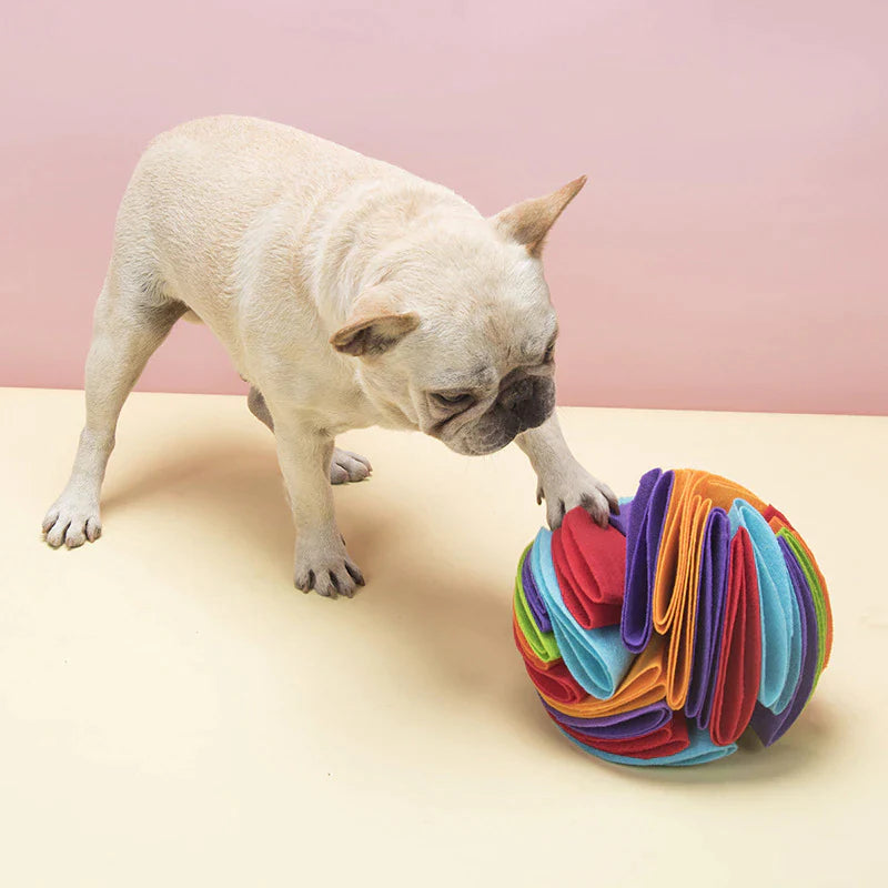 Schnüffelball – Bild 1