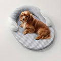 Hundebett mit Nackenkissen – Bild 1